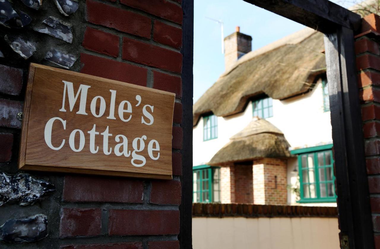 The Museum Inn Farnham  Exterior photo